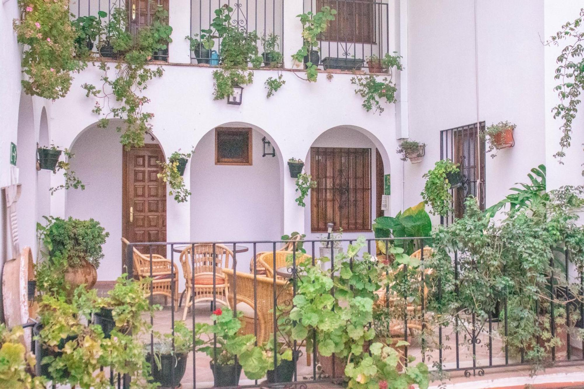 Hospederia Casa De Las Piedras غراثاليما المظهر الخارجي الصورة